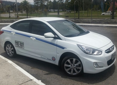 Colectivo y Taxi individual